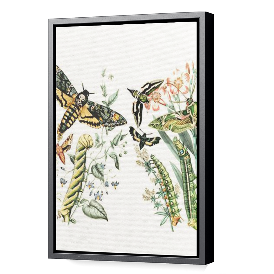 Thumbnail for Canvas - Black Floating Frame