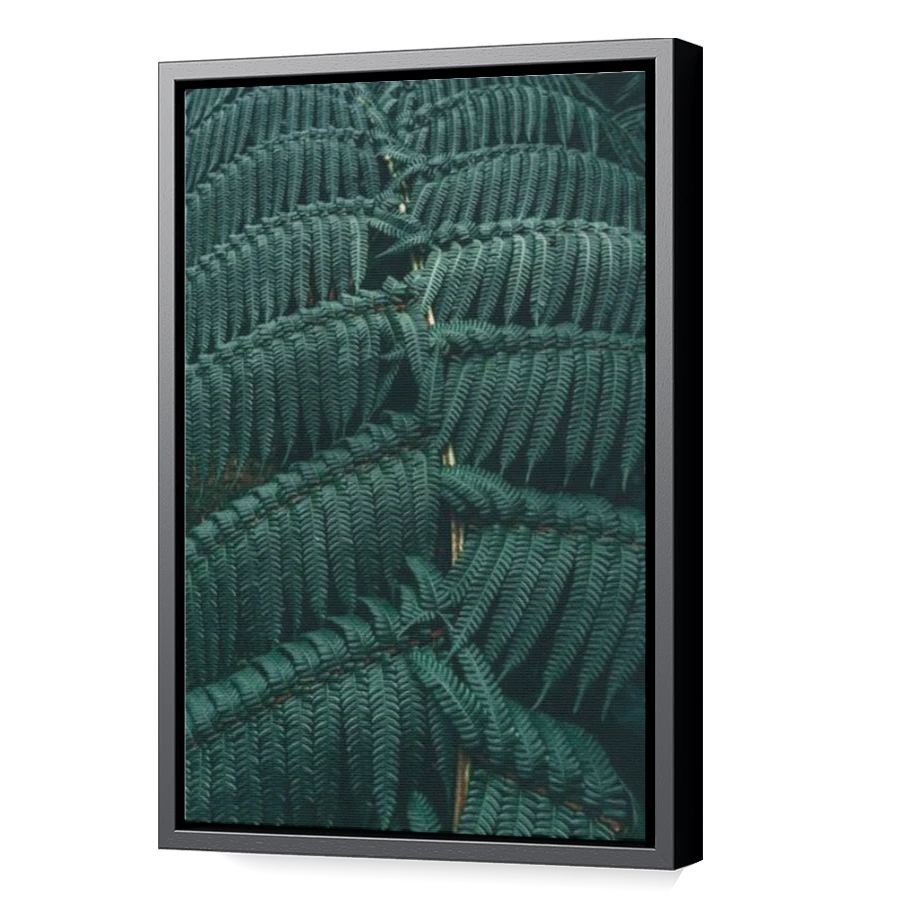 Thumbnail for Canvas - Black Floating Frame