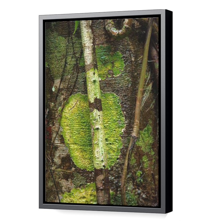 Thumbnail for Canvas - Black Floating Frame