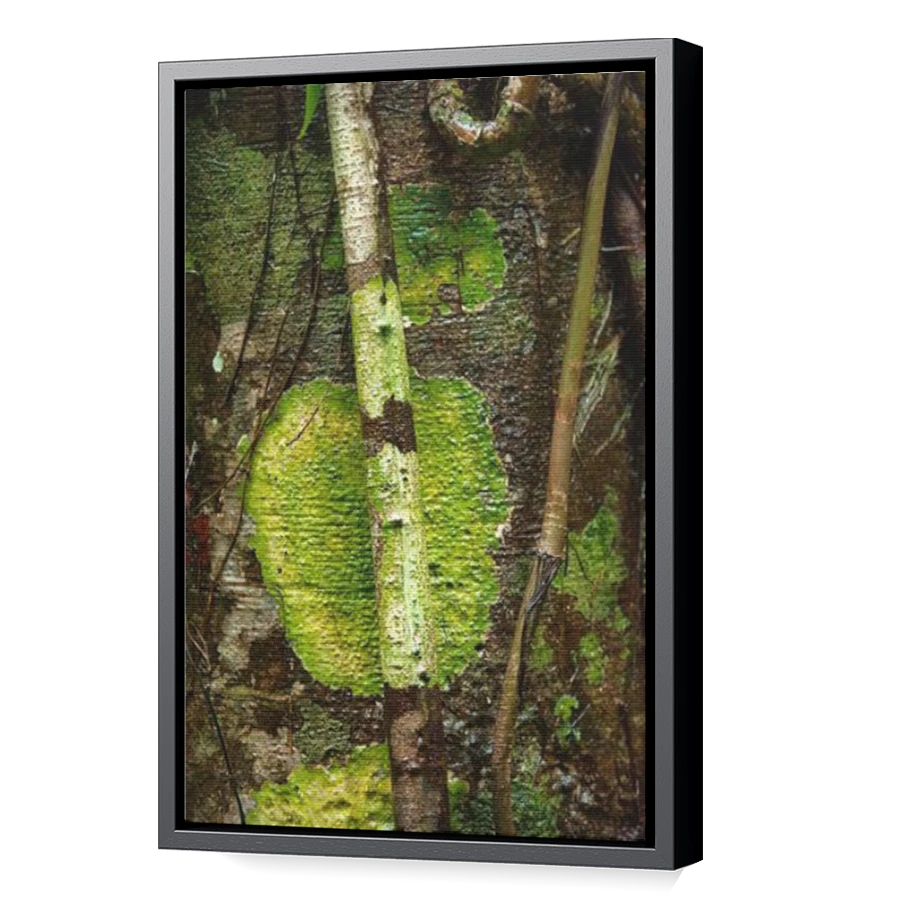 Thumbnail for Canvas - Black Floating Frame