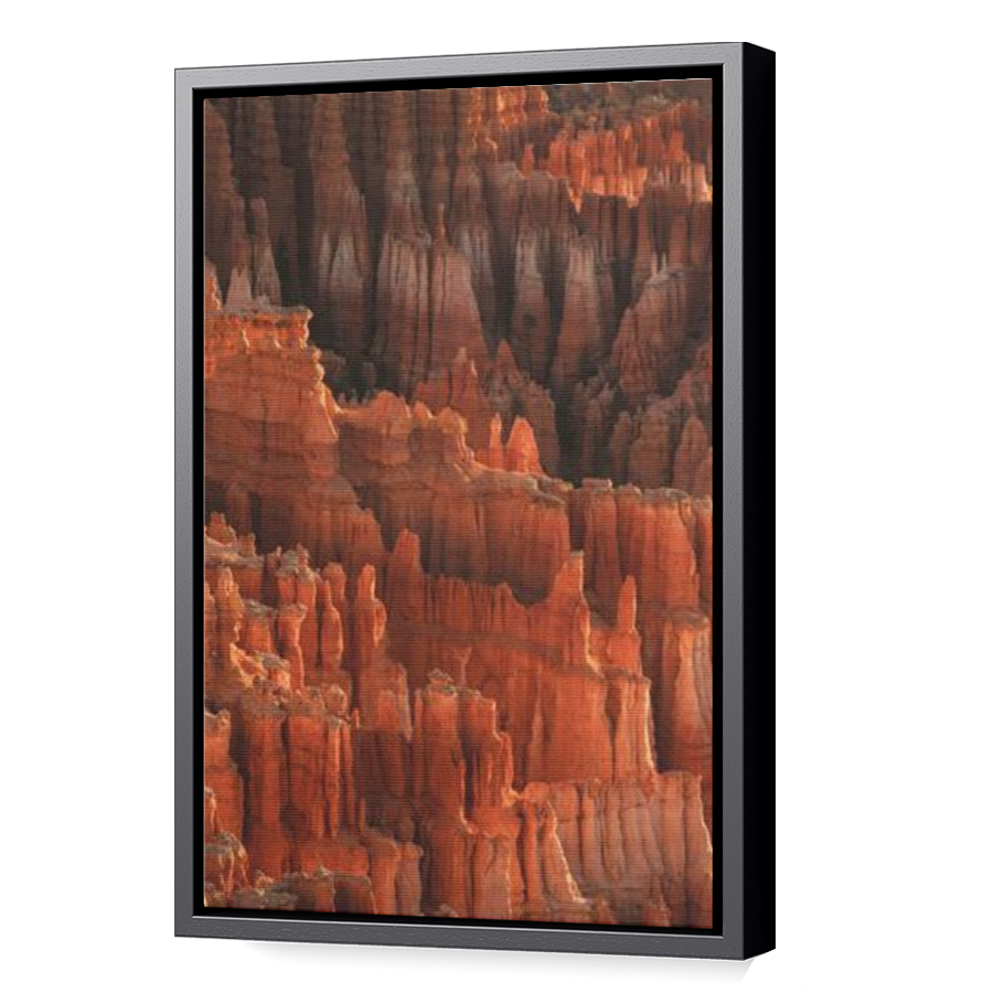 Thumbnail for Canvas - Black Floating Frame