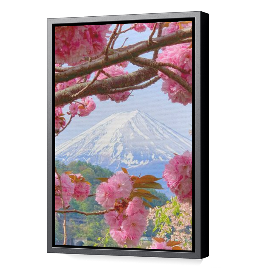 Thumbnail for Canvas - Black Floating Frame