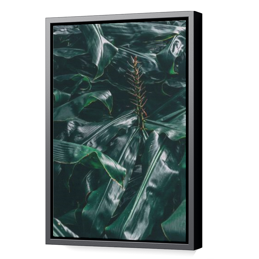 Thumbnail for Canvas - Black Floating Frame