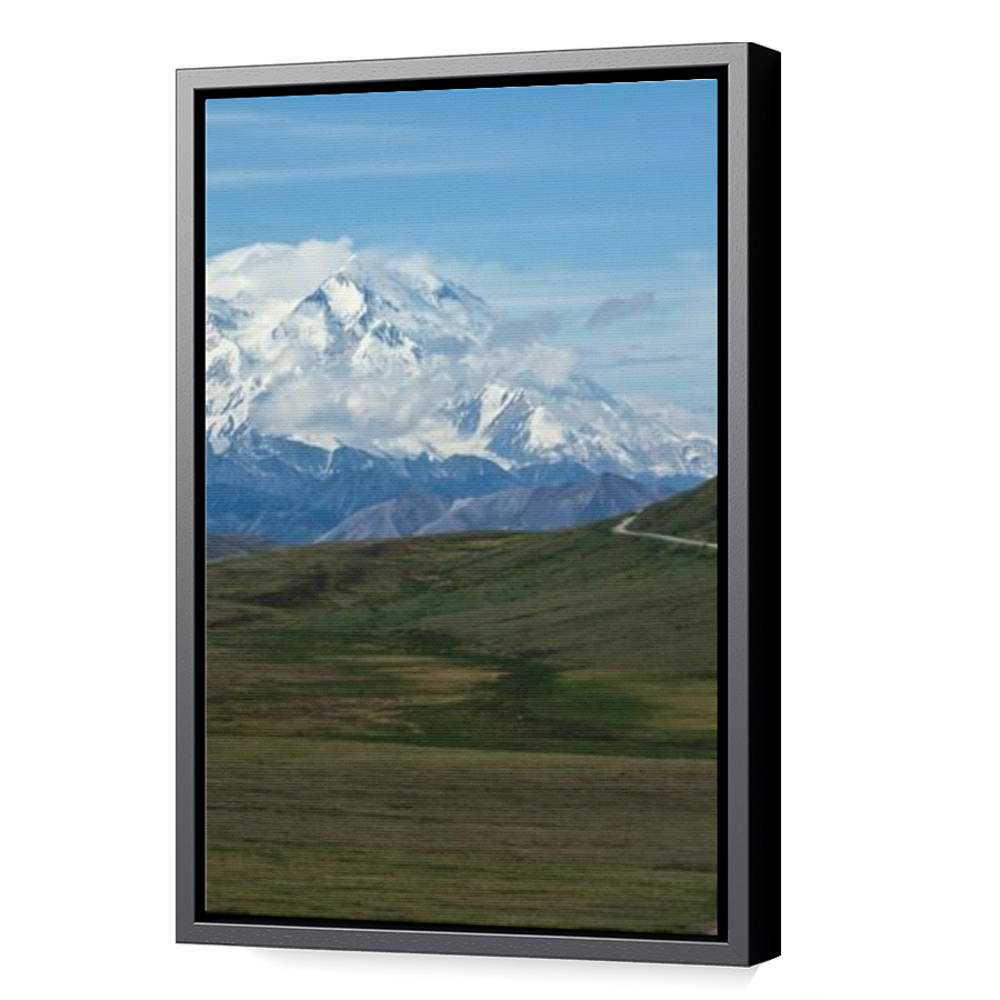 Thumbnail for Canvas - Black Floating Frame