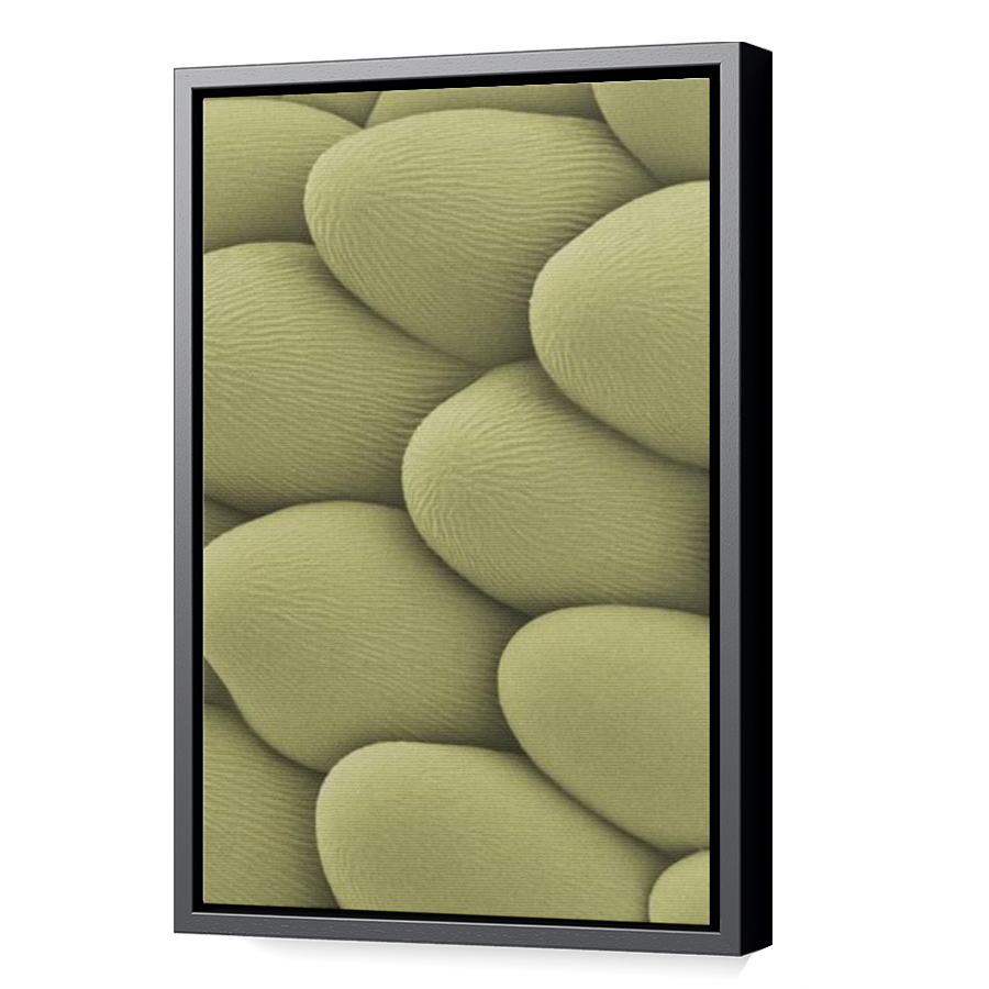 Thumbnail for Canvas - Black Floating Frame