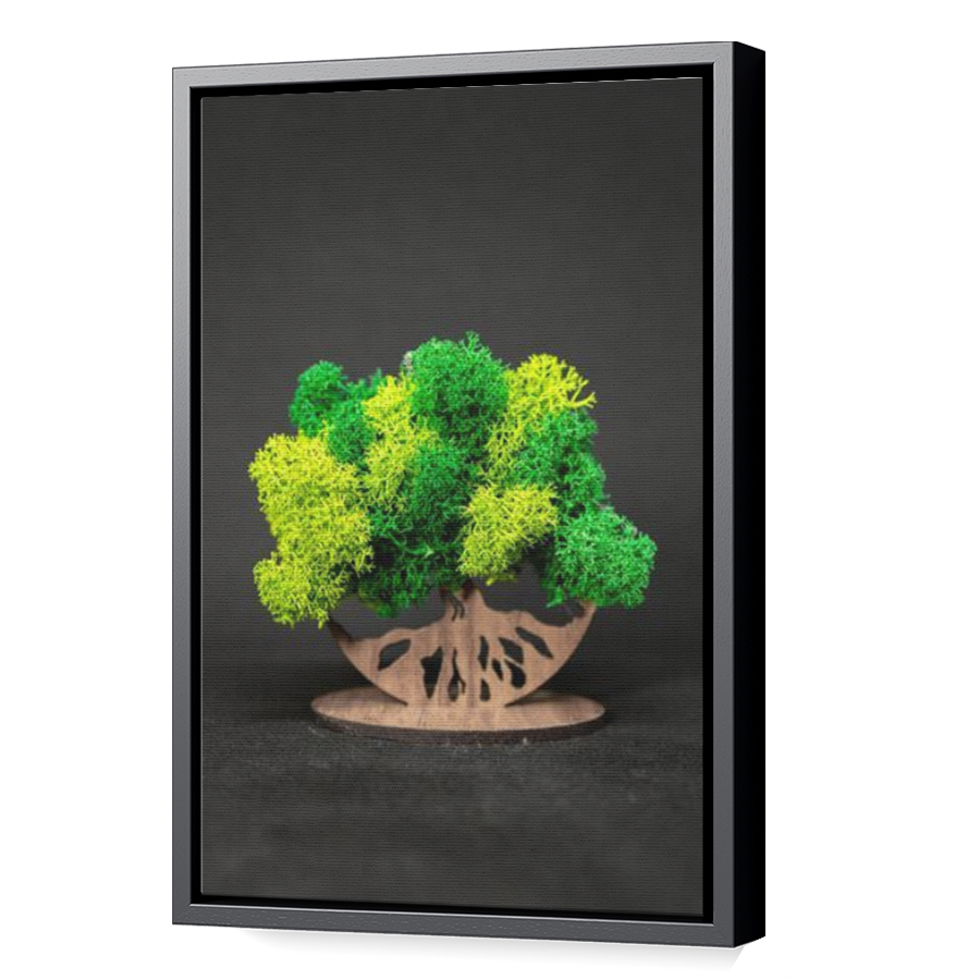 Thumbnail for Canvas - Black Floating Frame