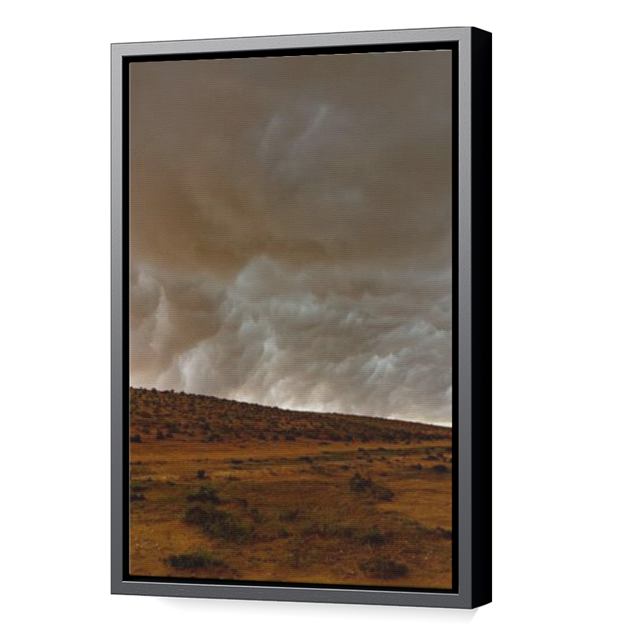 Thumbnail for Canvas - Black Floating Frame