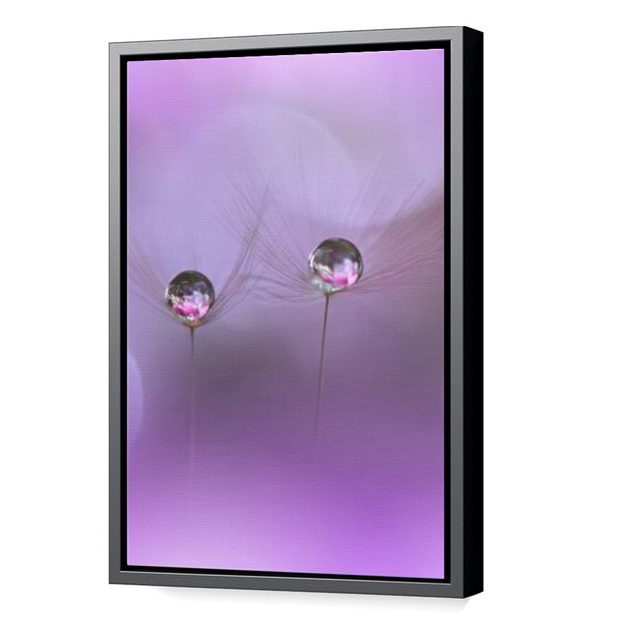 Thumbnail for Canvas - Black Floating Frame