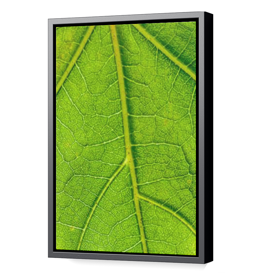 Thumbnail for Canvas - Black Floating Frame