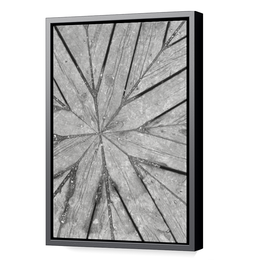 Thumbnail for Canvas - Black Floating Frame