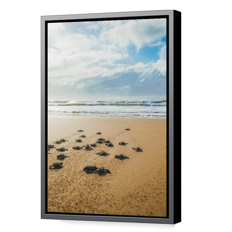 Thumbnail for Canvas - Black Floating Frame