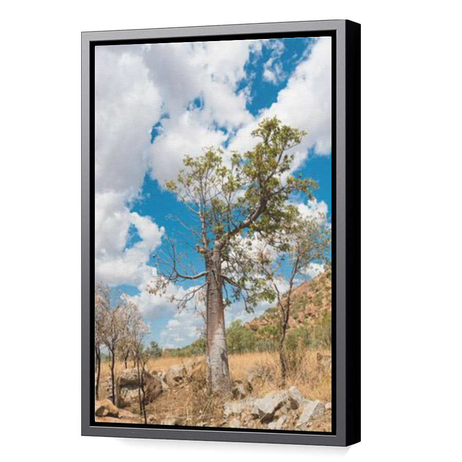 Thumbnail for Canvas - Black Floating Frame