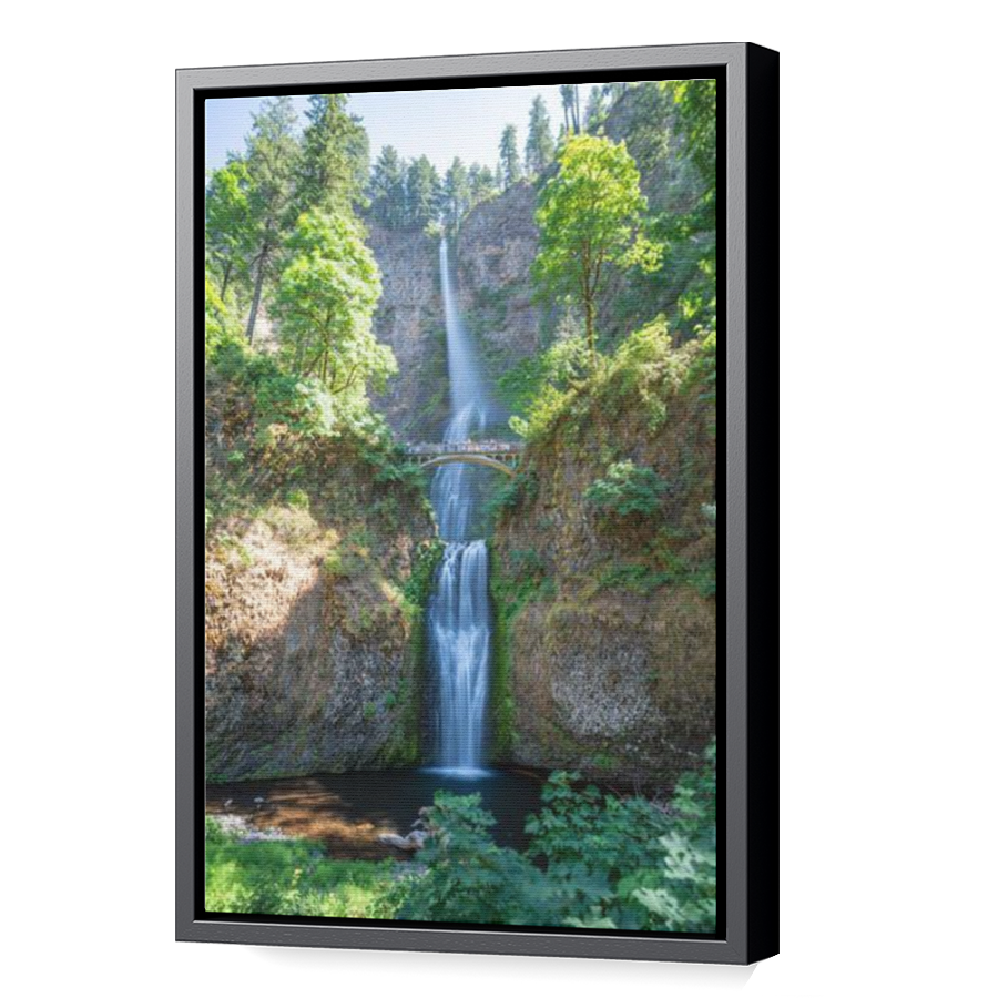 Thumbnail for Canvas - Black Floating Frame