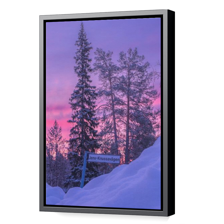 Thumbnail for Canvas - Black Floating Frame