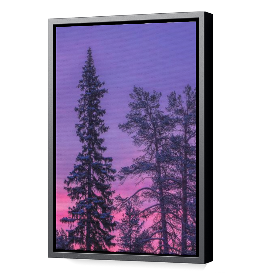 Thumbnail for Canvas - Black Floating Frame