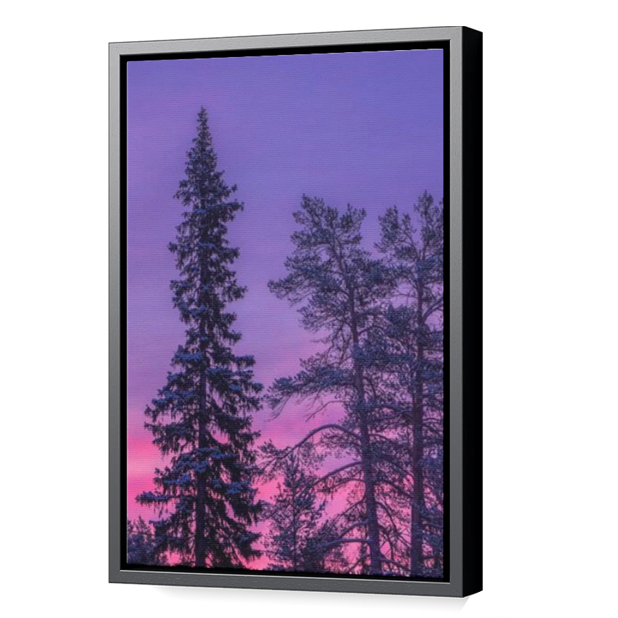 Thumbnail for Canvas - Black Floating Frame