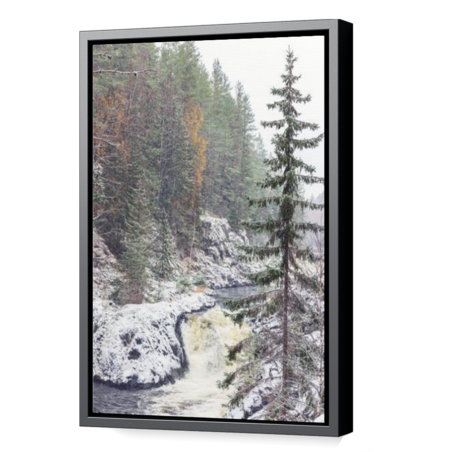 Thumbnail for Canvas - Black Floating Frame