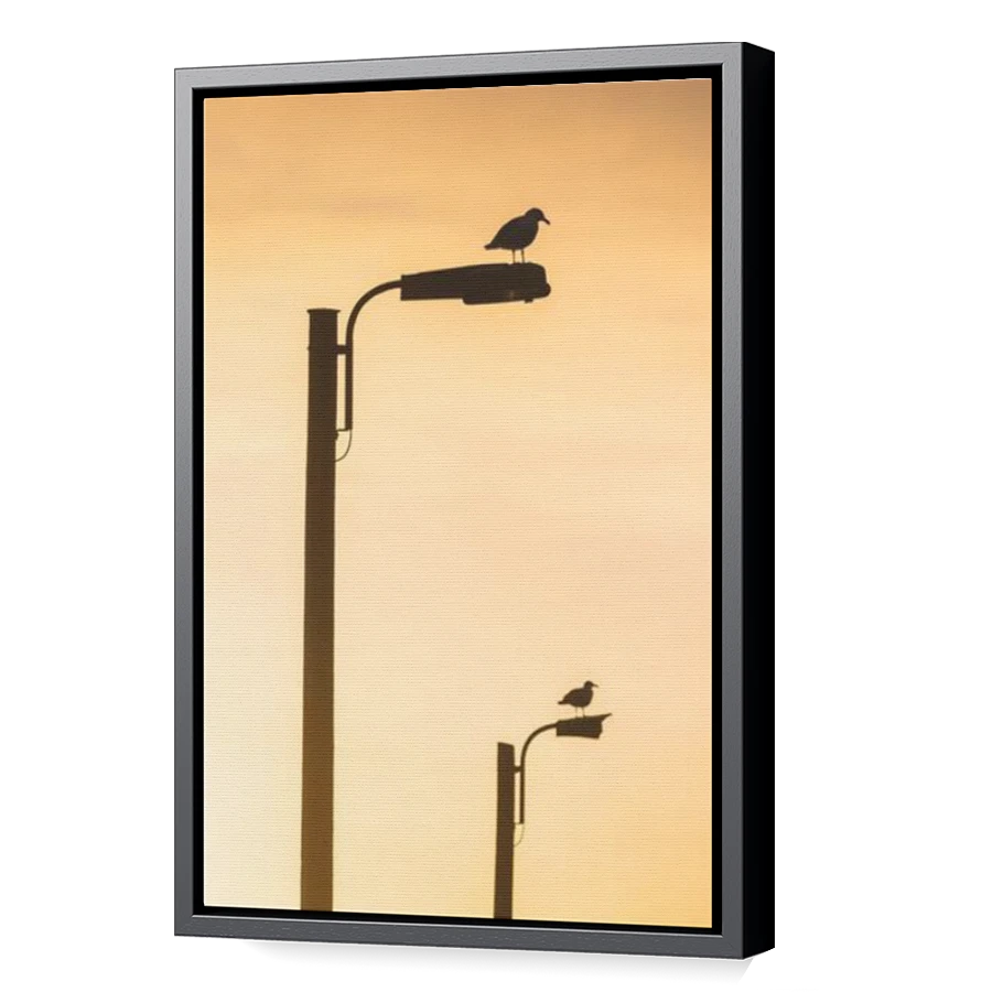 Thumbnail for Canvas - Black Floating Frame