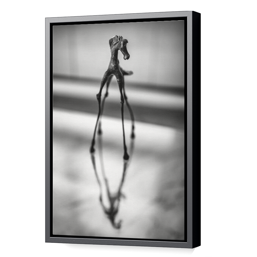 Thumbnail for Canvas - Black Floating Frame