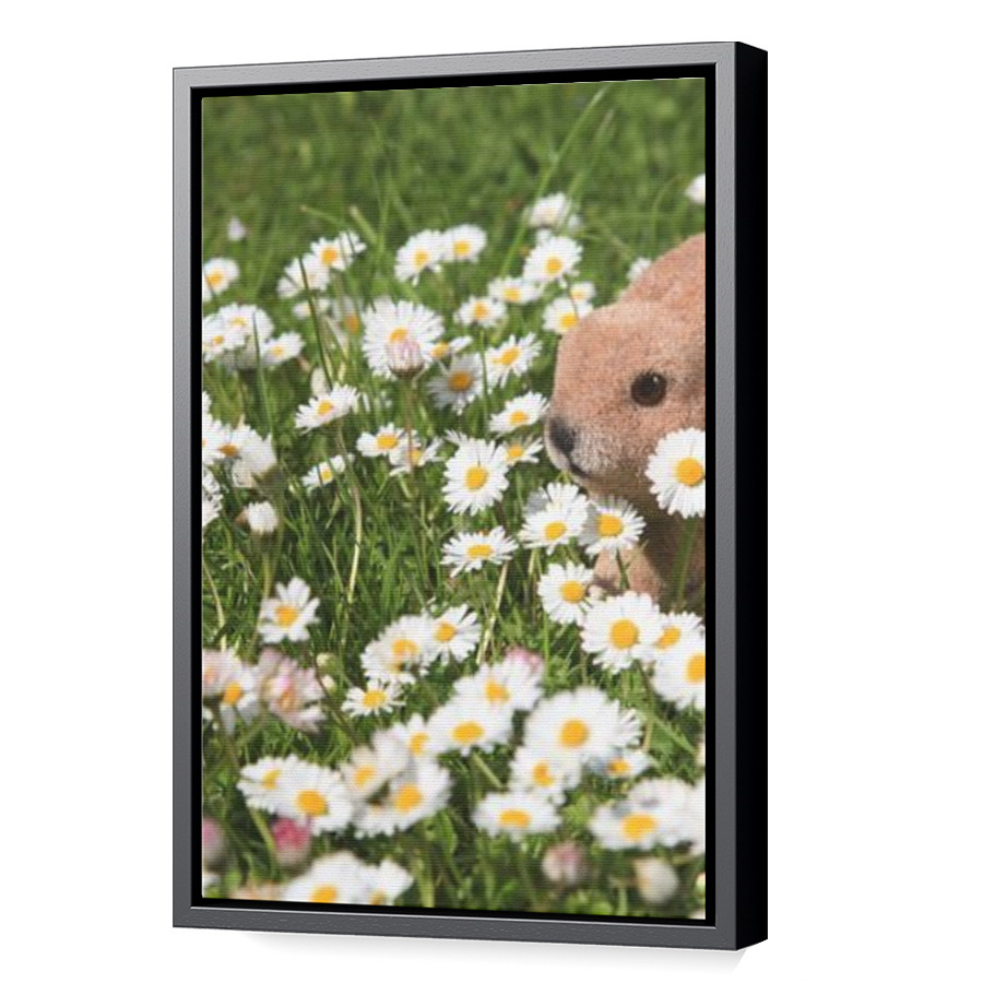 Thumbnail for Canvas - Black Floating Frame