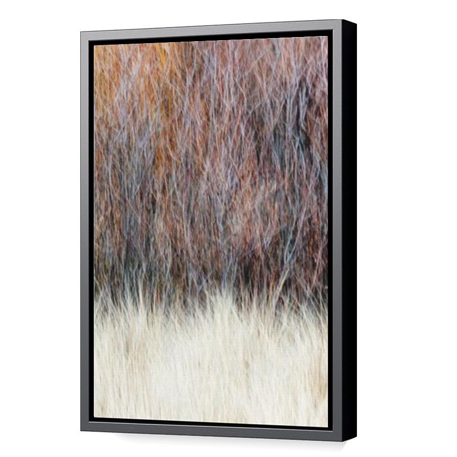 Thumbnail for Canvas - Black Floating Frame