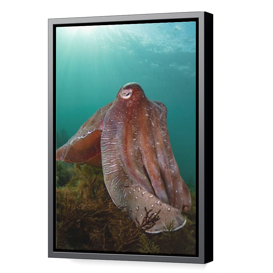 Thumbnail for Canvas - Black Floating Frame