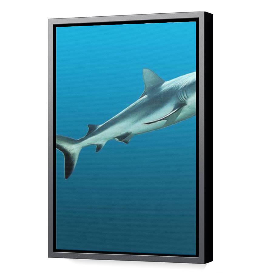 Thumbnail for Canvas - Black Floating Frame