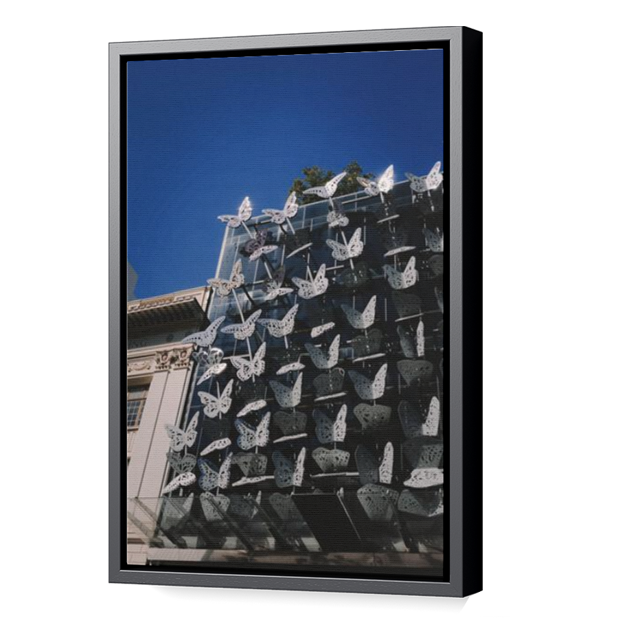 Thumbnail for Canvas - Black Floating Frame