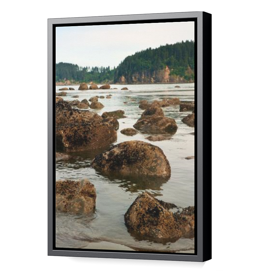 Thumbnail for Canvas - Black Floating Frame