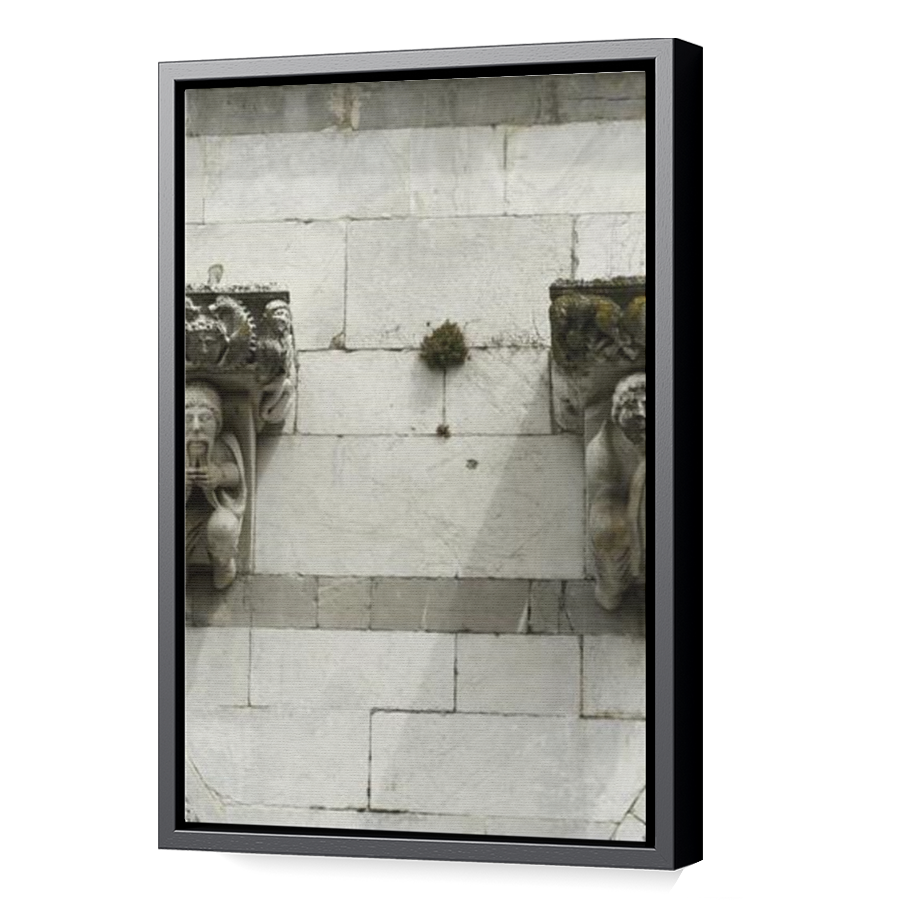 Thumbnail for Canvas - Black Floating Frame