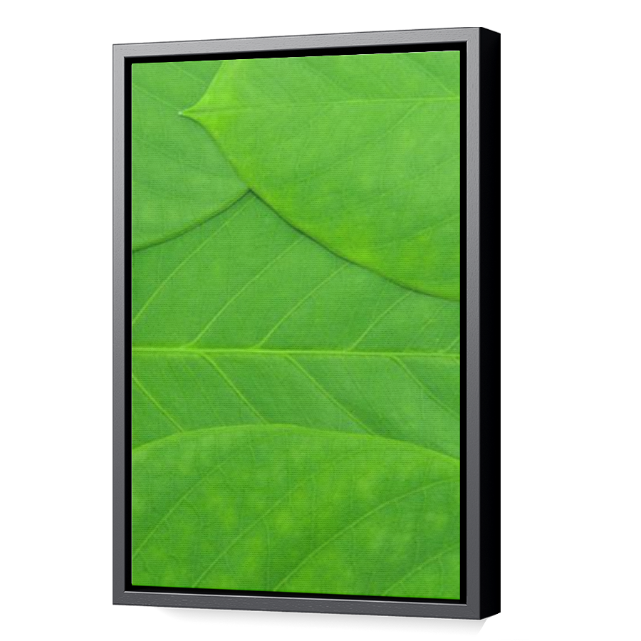 Thumbnail for Canvas - Black Floating Frame