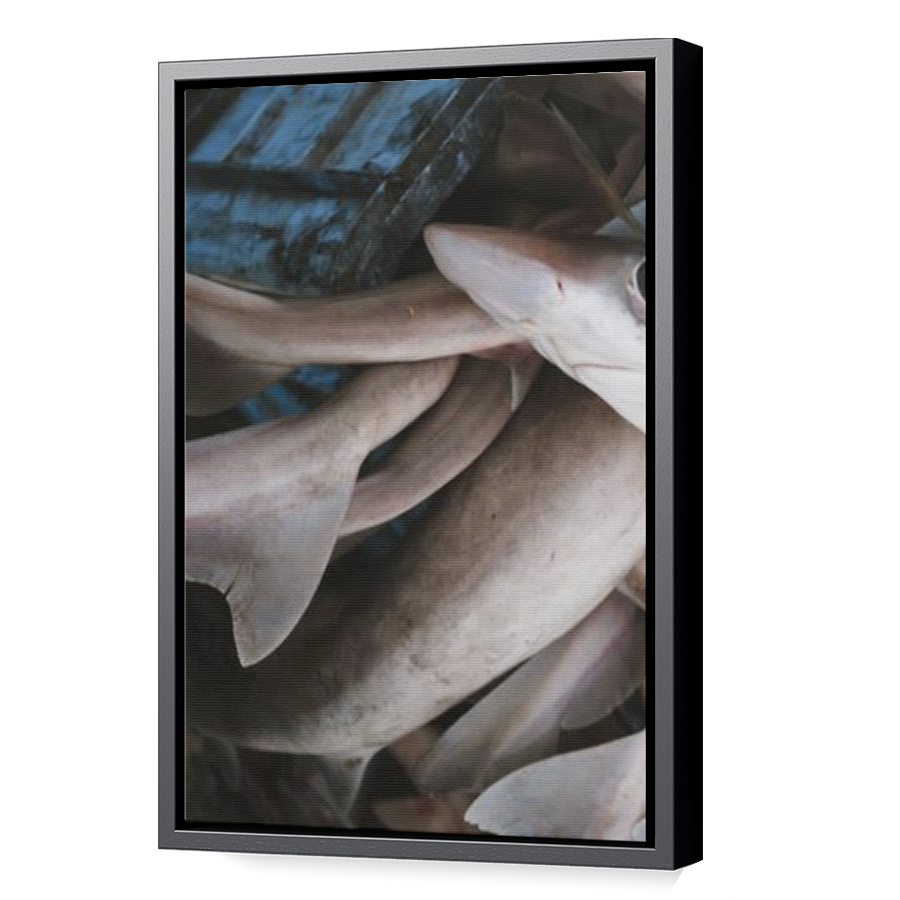 Thumbnail for Canvas - Black Floating Frame