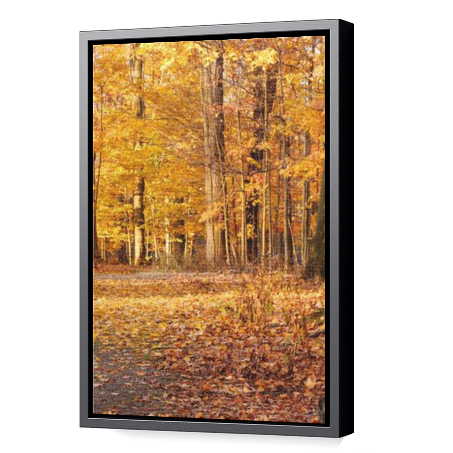 Thumbnail for Canvas - Black Floating Frame