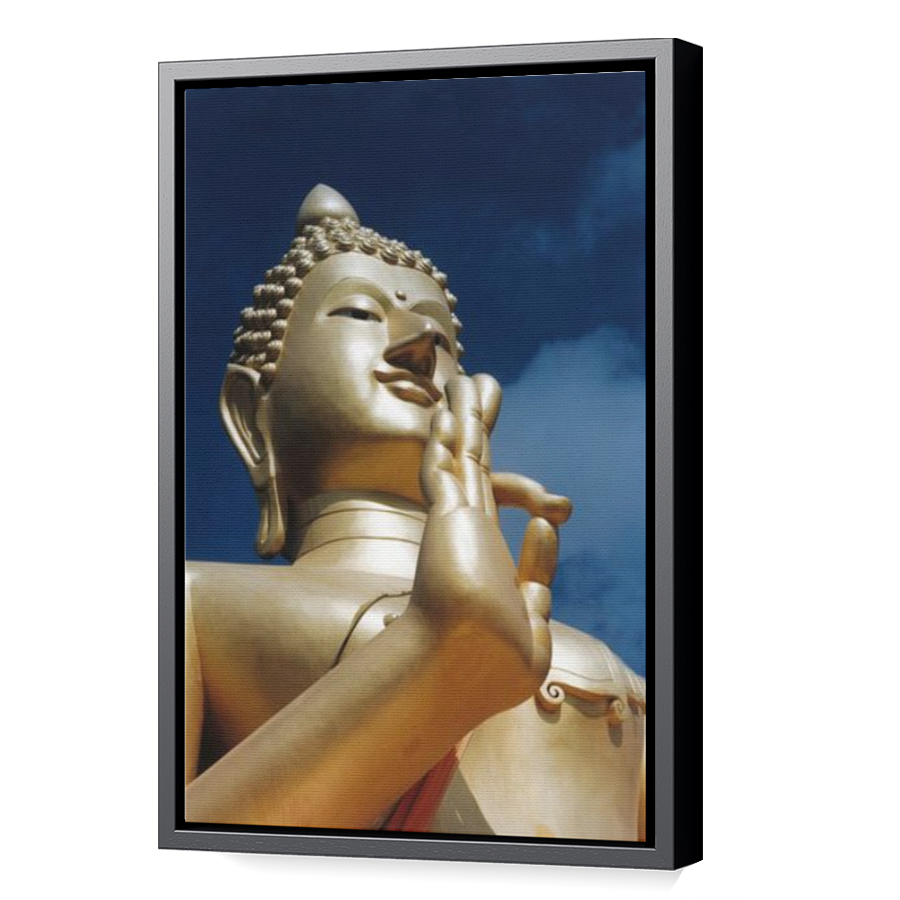 Thumbnail for Canvas - Black Floating Frame