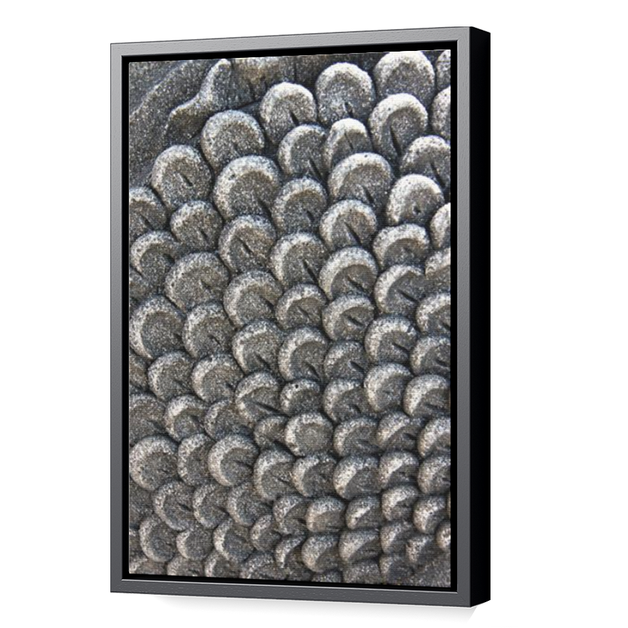 Thumbnail for Canvas - Black Floating Frame