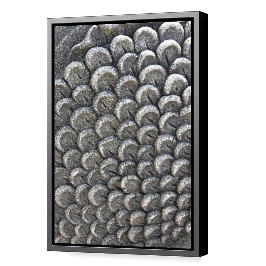 Thumbnail for Canvas - Black Floating Frame