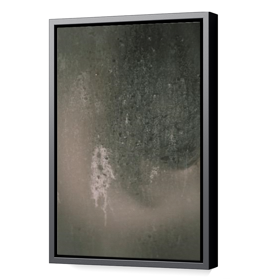 Thumbnail for Canvas - Black Floating Frame