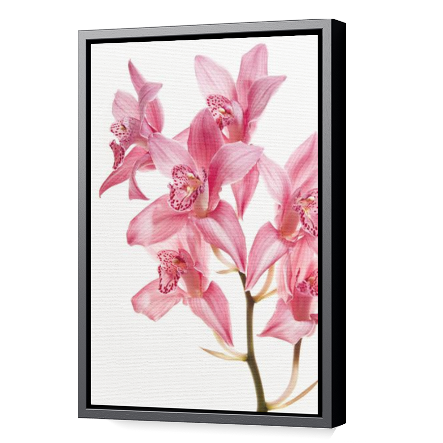 Thumbnail for Canvas - Black Floating Frame