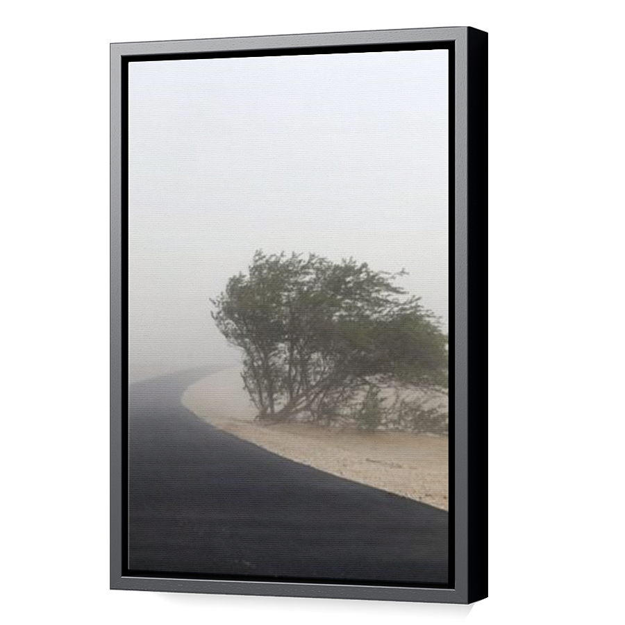 Thumbnail for Canvas - Black Floating Frame
