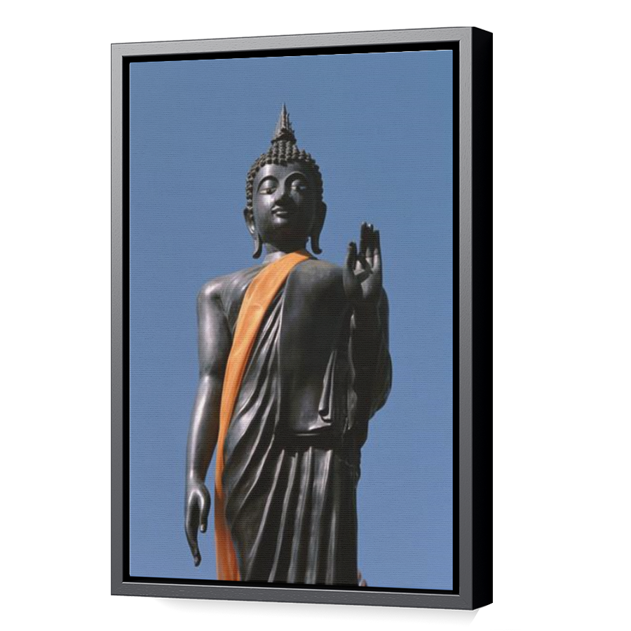Thumbnail for Canvas - Black Floating Frame