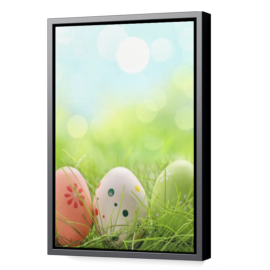 Thumbnail for Canvas - Black Floating Frame