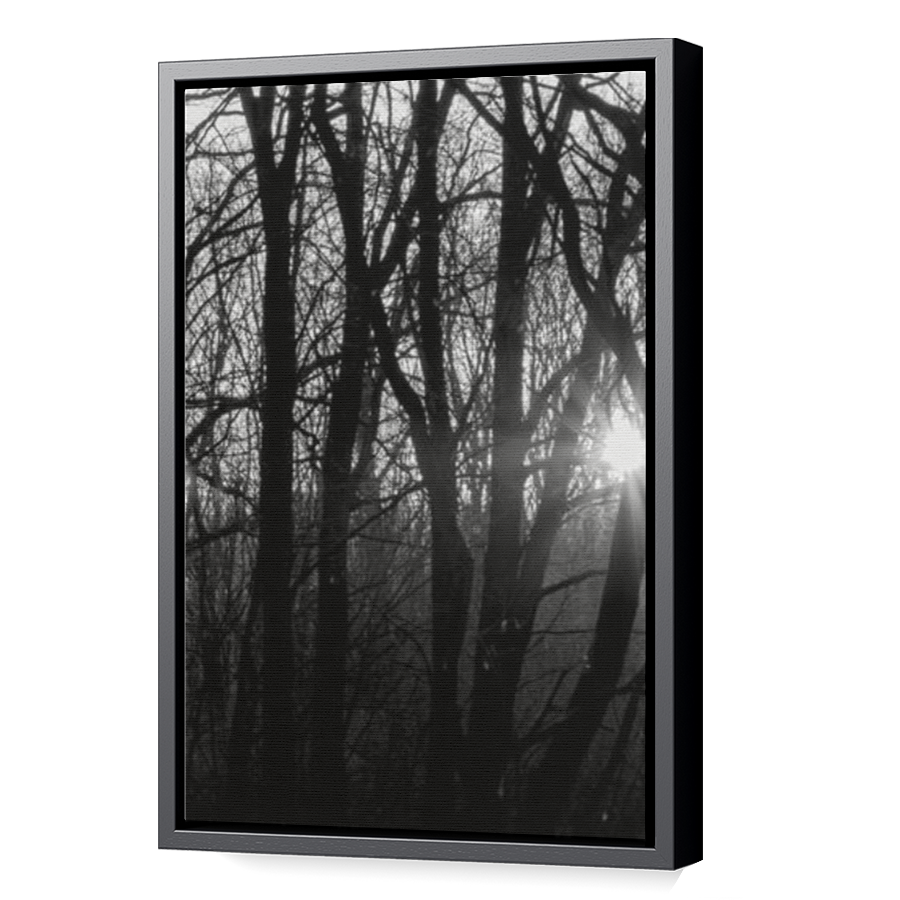 Thumbnail for Canvas - Black Floating Frame