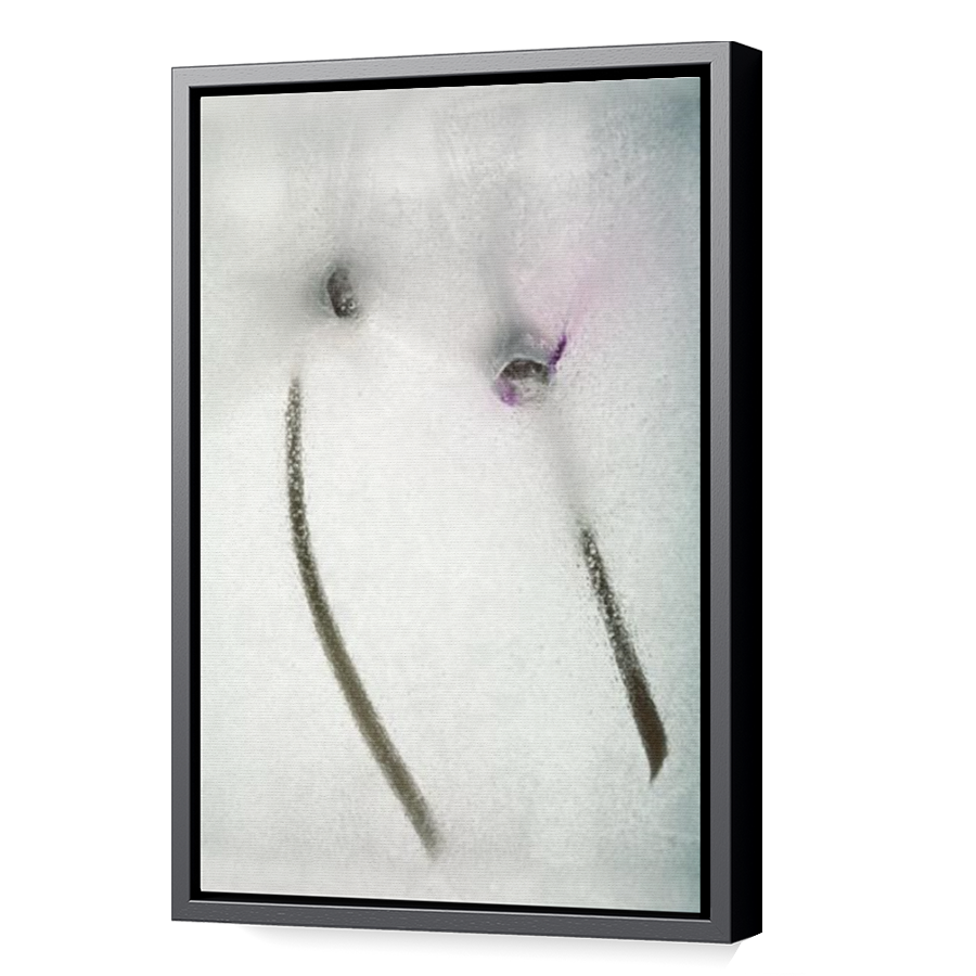 Thumbnail for Canvas - Black Floating Frame