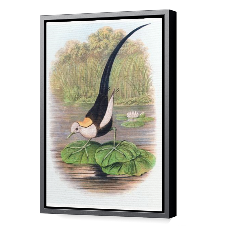 Thumbnail for Canvas - Black Floating Frame