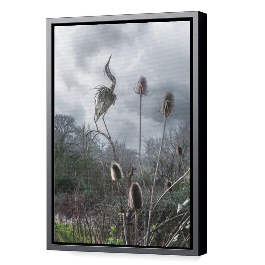 Thumbnail for Canvas - Black Floating Frame