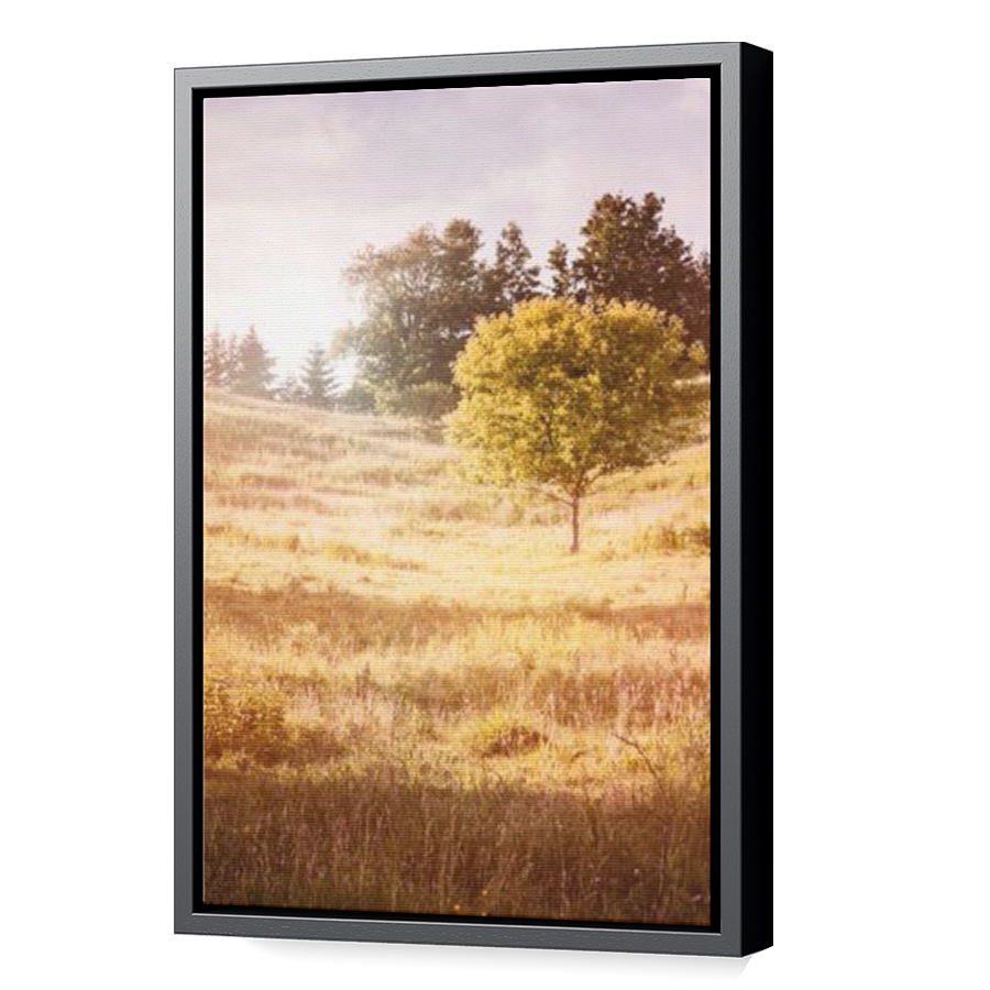 Thumbnail for Canvas - Black Floating Frame