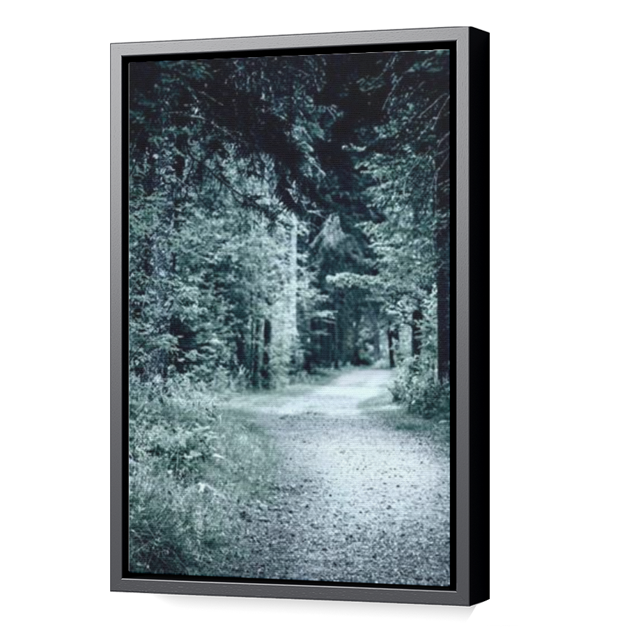 Thumbnail for Canvas - Black Floating Frame