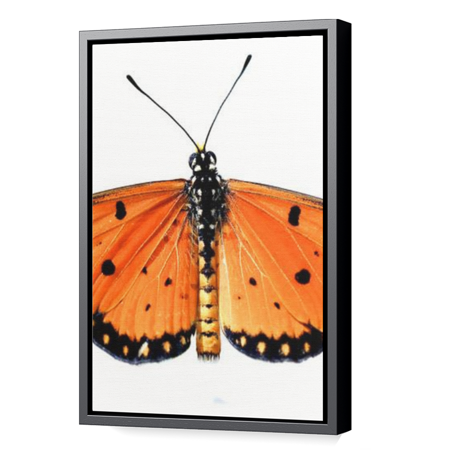 Thumbnail for Canvas - Black Floating Frame