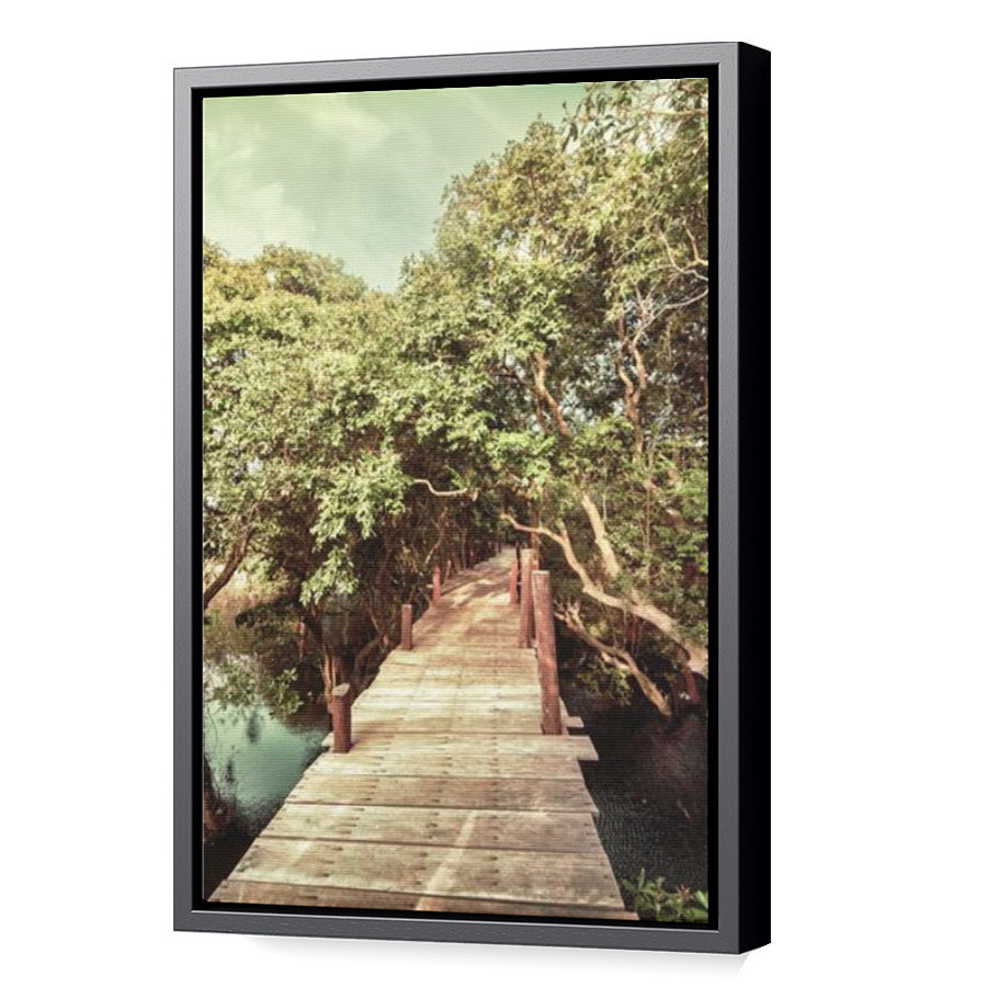 Thumbnail for Canvas - Black Floating Frame