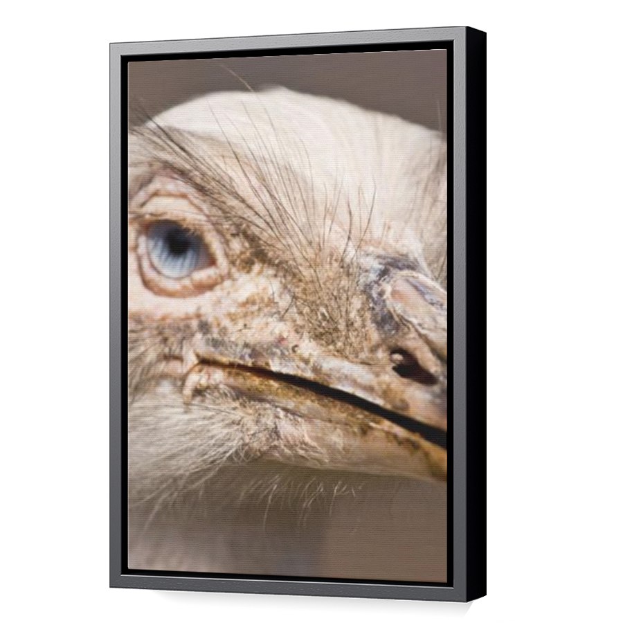 Thumbnail for Canvas - Black Floating Frame